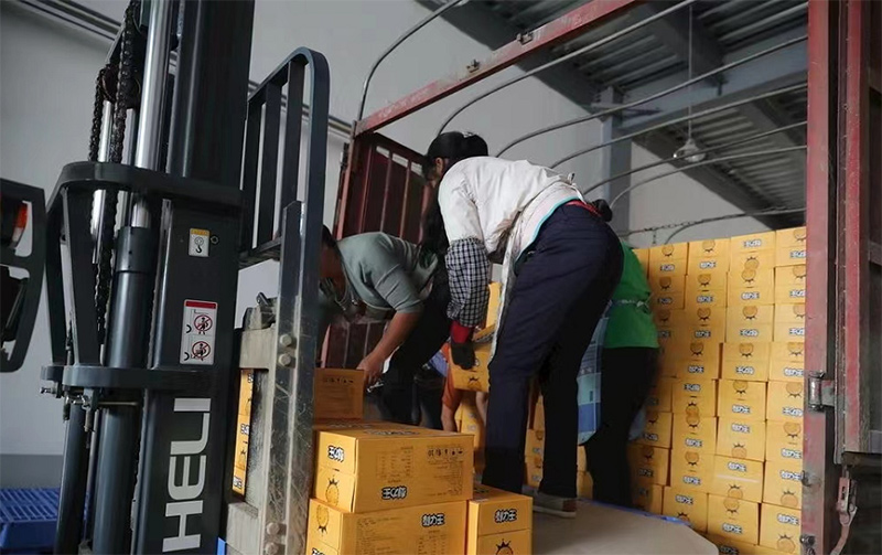 20220930093008193.png 7923b0dc-0f9a-4b80-bca3-958dd3364865.png